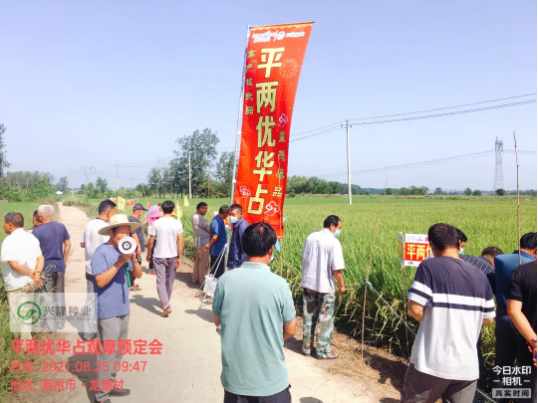 新興隆，新氣象，新未來—記滁州市平兩優(yōu)華占觀摩預(yù)訂會