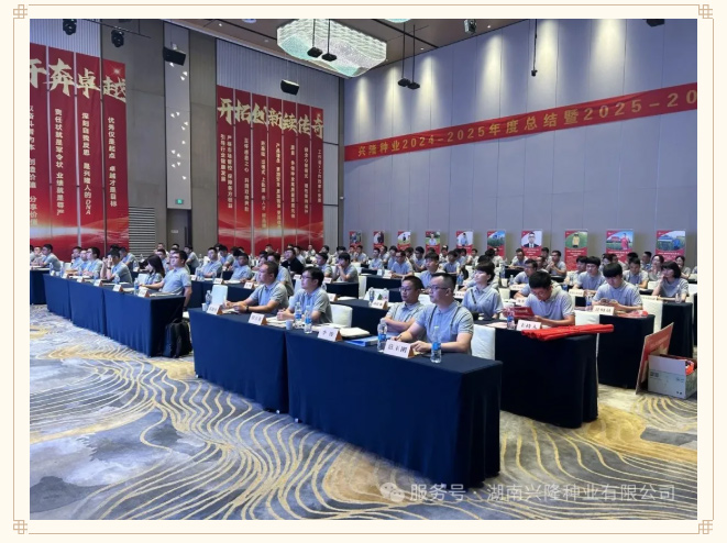 苦干巧干奔卓越，開(kāi)拓創(chuàng)新續(xù)傳奇——興隆種業(yè)2024-2025年度總結(jié)暨2025-2026年度規(guī)劃會(huì)召開(kāi)