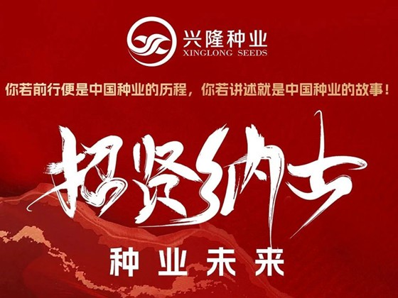 興隆種業(yè)高薪納賢｜攜手耕耘共創(chuàng)豐景湖南興隆種業(yè)深耕農(nóng)業(yè)科技，現(xiàn)開啟黃金招聘季！