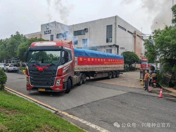 啟航新“種”程，播撒新希望——興隆種業(yè)2025-2026業(yè)務(wù)年度銷售鋪貨發(fā)車儀式圓滿啟動