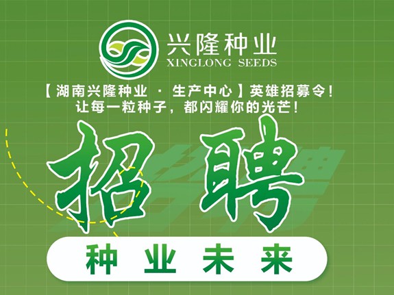 生產(chǎn)精英召集令！生產(chǎn)崗擴(kuò)編，薪資福利全都為您配齊啦