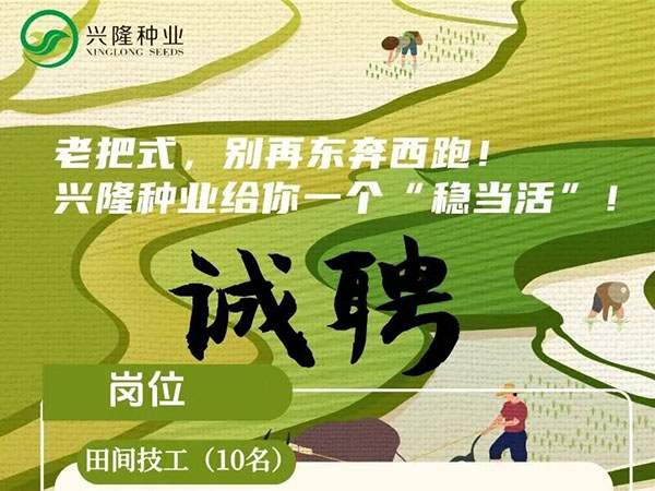 社招丨不怕你沒(méi)文憑，就怕你不敢來(lái)！招的就是能吃苦的技術(shù)好手