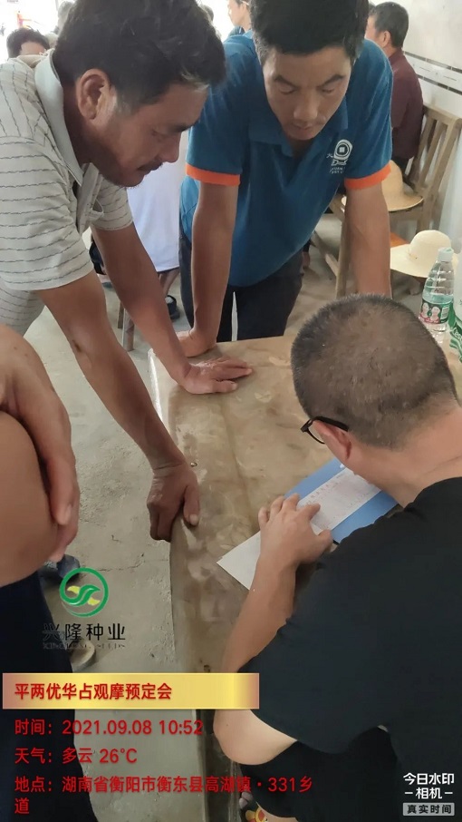 湖南興隆種業(yè)有限公司,長(zhǎng)沙稻谷種植與銷售,長(zhǎng)沙農(nóng)作物品種的選育,長(zhǎng)沙農(nóng)業(yè)病蟲(chóng)害防治服務(wù)