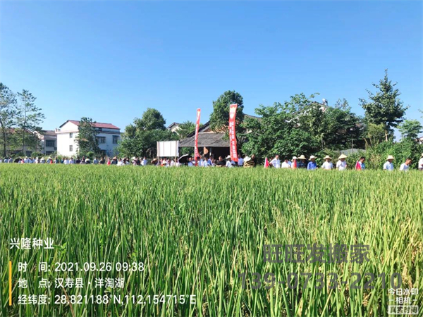 湖南興隆種業(yè)有限公司,長(zhǎng)沙稻谷種植與銷售,長(zhǎng)沙農(nóng)作物品種的選育,長(zhǎng)沙農(nóng)業(yè)病蟲害防治服務(wù) 湖南興隆種業(yè)有限公司,長(zhǎng)沙稻谷種植與銷售,長(zhǎng)沙農(nóng)作物品種的選育,長(zhǎng)沙農(nóng)業(yè)病蟲害防治服務(wù)