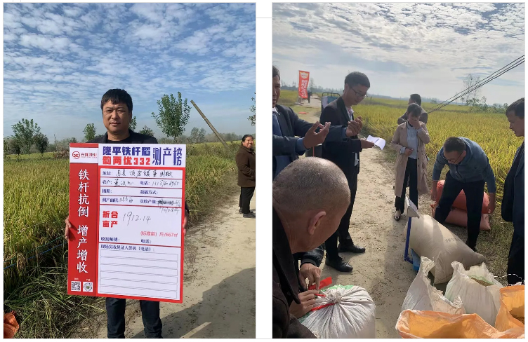 湖南興隆種業(yè)有限公司,長沙稻谷種植與銷售,長沙農(nóng)作物品種的選育,長沙農(nóng)業(yè)病蟲害防治服務(wù)