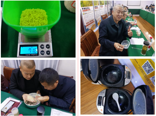 湖南興隆種業(yè)有限公司,長沙稻谷種植與銷售,長沙農作物品種的選育,長沙農業(yè)病蟲害防治服務 湖南興隆種業(yè)有限公司,長沙稻谷種植與銷售,長沙農作物品種的選育,長沙農業(yè)病蟲害防治服務