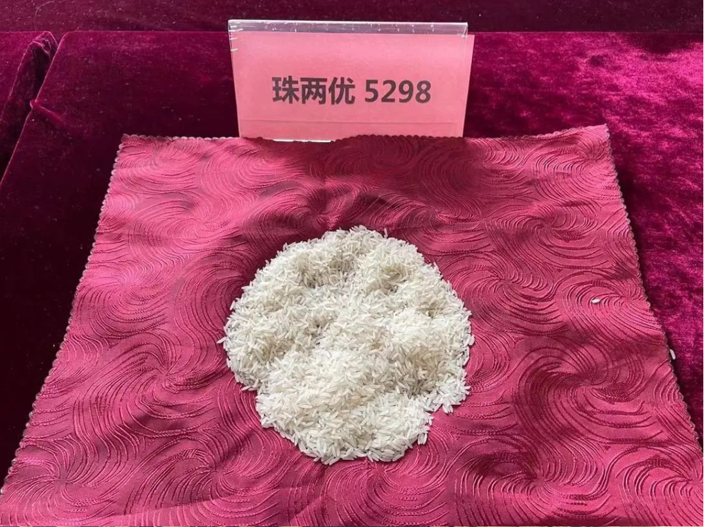 湖南興隆種業(yè)有限公司,長沙稻谷種植與銷售,長沙農(nóng)作物品種的選育,長沙農(nóng)業(yè)病蟲害防治服務(wù)