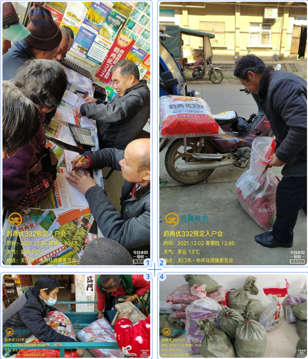 湖南興隆種業(yè)有限公司,長沙稻谷種植與銷售,長沙農作物品種的選育,長沙農業(yè)病蟲害防治服務 湖南興隆種業(yè)有限公司,長沙稻谷種植與銷售,長沙農作物品種的選育,長沙農業(yè)病蟲害防治服務