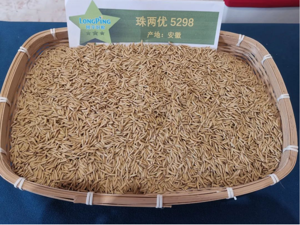 湖南興隆種業(yè)有限公司,長(zhǎng)沙稻谷種植與銷售,長(zhǎng)沙農(nóng)作物品種的選育,長(zhǎng)沙農(nóng)業(yè)病蟲(chóng)害防治服務(wù) 湖南興隆種業(yè)有限公司,長(zhǎng)沙稻谷種植與銷售,長(zhǎng)沙農(nóng)作物品種的選育,長(zhǎng)沙農(nóng)業(yè)病蟲(chóng)害防治服務(wù)