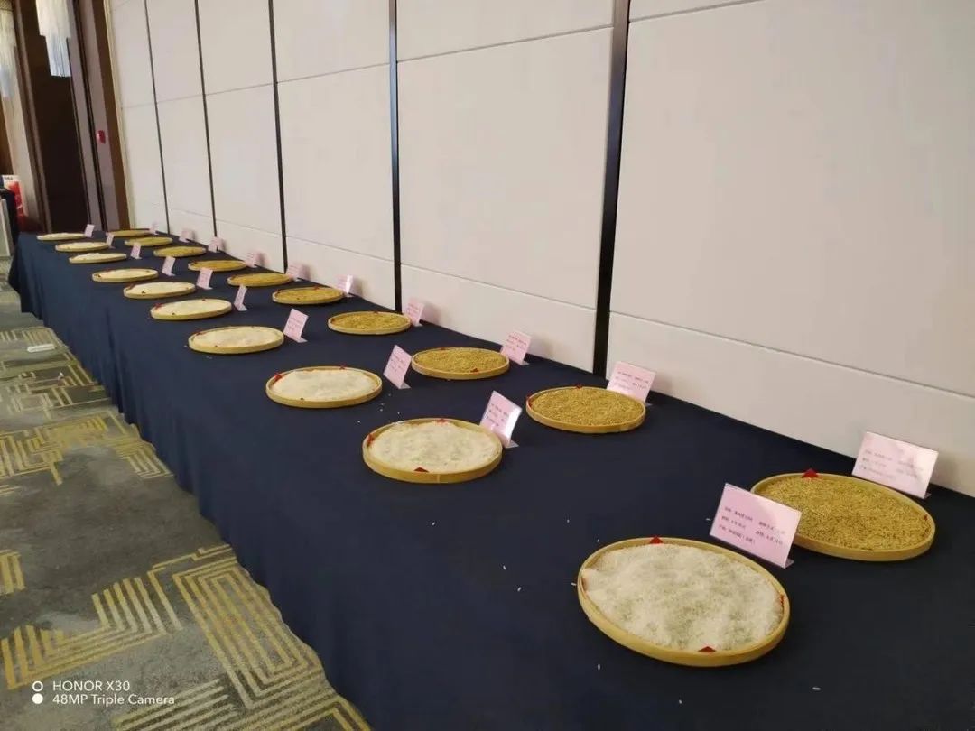 湖南興隆種業(yè)有限公司,長沙稻谷種植與銷售,長沙農(nóng)作物品種的選育,長沙農(nóng)業(yè)病蟲害防治服務