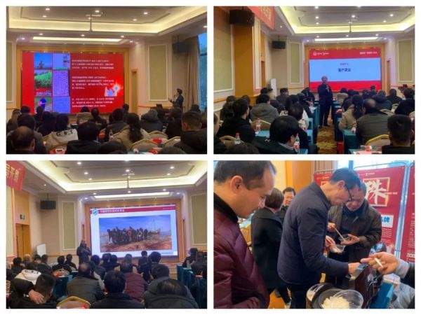 湖南興隆種業(yè)有限公司,長(zhǎng)沙稻谷種植與銷售,長(zhǎng)沙農(nóng)作物品種的選育,長(zhǎng)沙農(nóng)業(yè)病蟲害防治服務(wù)