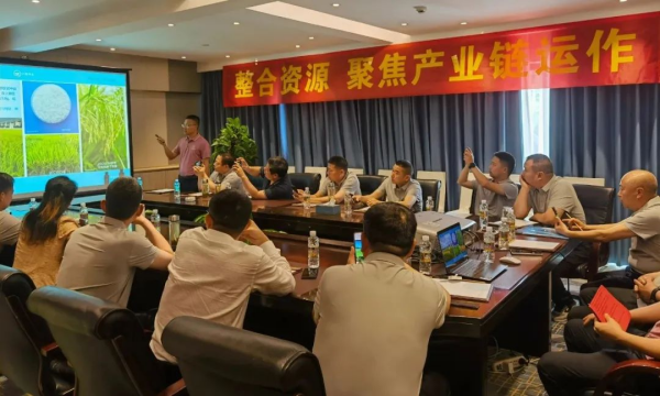 湖南興隆種業(yè)有限公司,長沙稻谷種植與銷售,長沙農(nóng)作物品種的選育,長沙農(nóng)業(yè)病蟲害防治服務(wù)