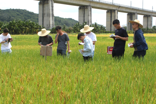 湖南興隆種業(yè)有限公司,長(zhǎng)沙稻谷種植與銷售,長(zhǎng)沙農(nóng)作物品種的選育,長(zhǎng)沙農(nóng)業(yè)病蟲害防治服務(wù)