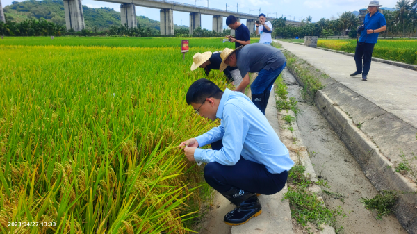 湖南興隆種業(yè)有限公司,長(zhǎng)沙稻谷種植與銷售,長(zhǎng)沙農(nóng)作物品種的選育,長(zhǎng)沙農(nóng)業(yè)病蟲害防治服務(wù)