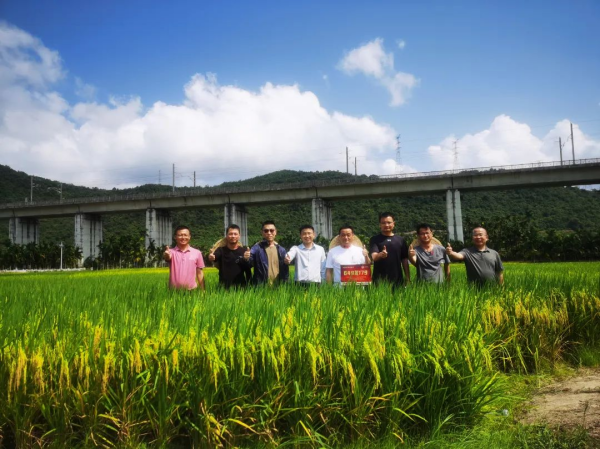 湖南興隆種業(yè)有限公司,長(zhǎng)沙稻谷種植與銷售,長(zhǎng)沙農(nóng)作物品種的選育,長(zhǎng)沙農(nóng)業(yè)病蟲害防治服務(wù)