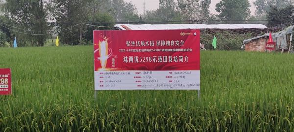 湖南興隆種業(yè)有限公司,長沙稻谷種植與銷售,長沙農作物品種的選育,長沙農業(yè)病蟲害防治服務