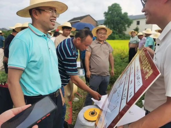 湖南興隆種業(yè)有限公司,長沙稻谷種植與銷售,長沙農(nóng)作物品種的選育,長沙農(nóng)業(yè)病蟲害防治服務(wù)