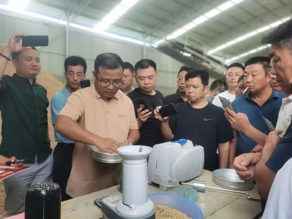 湖南興隆種業(yè)有限公司,長沙稻谷種植與銷售,長沙農(nóng)作物品種的選育,長沙農(nóng)業(yè)病蟲害防治服務(wù)