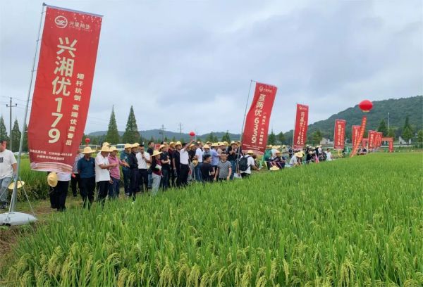 湖南興隆種業(yè)有限公司,長沙稻谷種植與銷售,長沙農(nóng)作物品種的選育,長沙農(nóng)業(yè)病蟲害防治服務(wù)