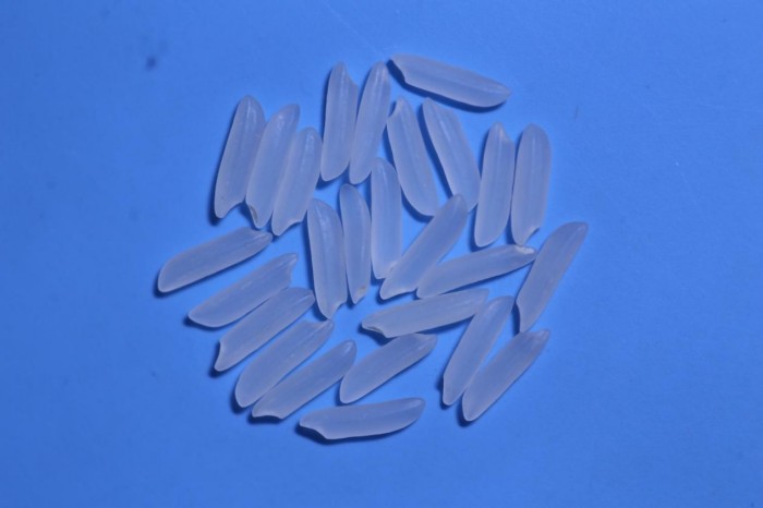 湖南興隆種業(yè)有限公司,長(zhǎng)沙稻谷種植與銷售,長(zhǎng)沙農(nóng)作物品種的選育,長(zhǎng)沙農(nóng)業(yè)病蟲害防治服務(wù)