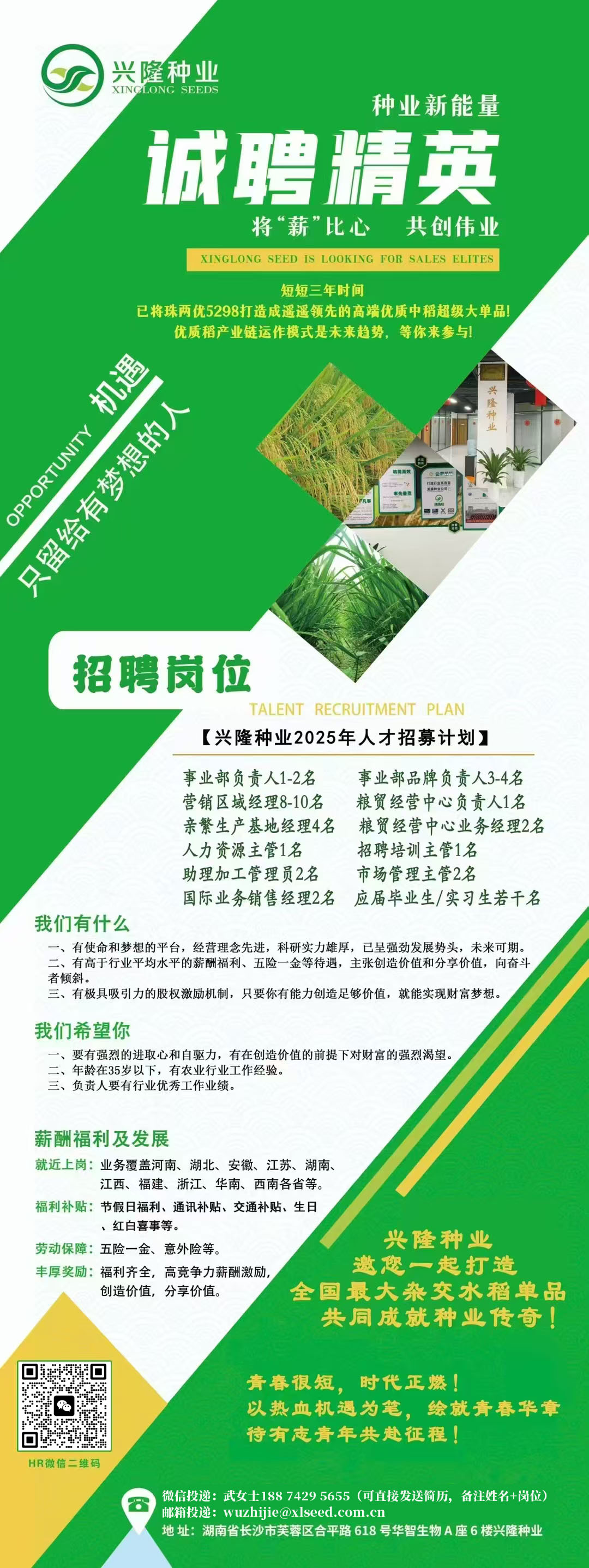 湖南興隆種業(yè)有限公司,長沙稻谷種植與銷售,長沙農(nóng)作物品種的選育,長沙農(nóng)業(yè)病蟲害防治服務(wù)
