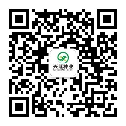 湖南興隆種業(yè)有限公司,長(zhǎng)沙稻谷種植與銷售,長(zhǎng)沙農(nóng)作物品種的選育,長(zhǎng)沙農(nóng)業(yè)病蟲害防治服務(wù)