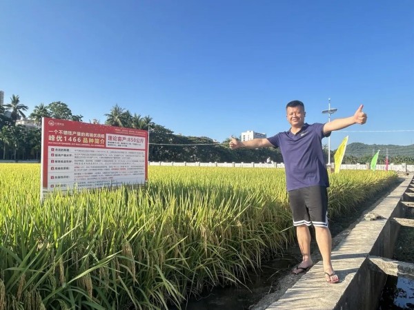 湖南興隆種業(yè)有限公司,長沙稻谷種植與銷售,長沙農(nóng)作物品種的選育,長沙農(nóng)業(yè)病蟲害防治服務(wù)