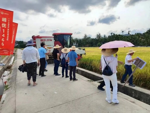 湖南興隆種業(yè)有限公司,長沙稻谷種植與銷售,長沙農(nóng)作物品種的選育,長沙農(nóng)業(yè)病蟲害防治服務(wù)