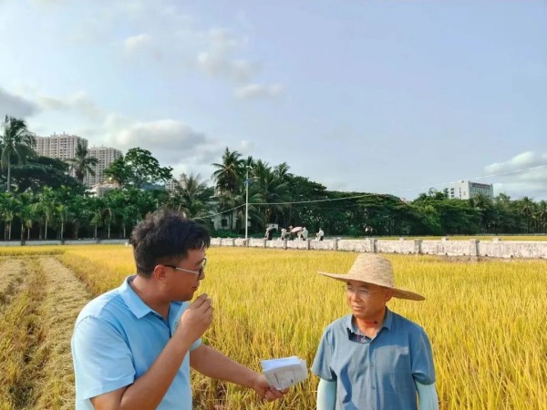 湖南興隆種業(yè)有限公司,長沙稻谷種植與銷售,長沙農(nóng)作物品種的選育,長沙農(nóng)業(yè)病蟲害防治服務(wù)