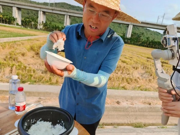 湖南興隆種業(yè)有限公司,長沙稻谷種植與銷售,長沙農(nóng)作物品種的選育,長沙農(nóng)業(yè)病蟲害防治服務(wù)