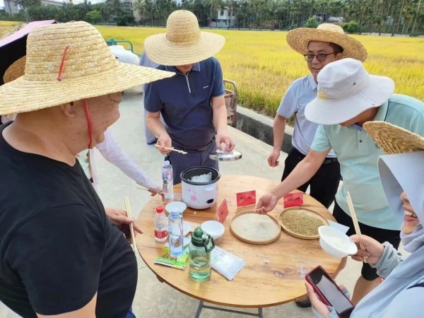 湖南興隆種業(yè)有限公司,長沙稻谷種植與銷售,長沙農(nóng)作物品種的選育,長沙農(nóng)業(yè)病蟲害防治服務(wù)