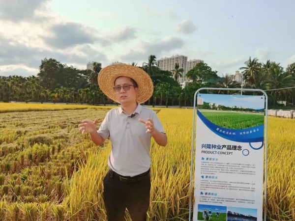 湖南興隆種業(yè)有限公司,長沙稻谷種植與銷售,長沙農(nóng)作物品種的選育,長沙農(nóng)業(yè)病蟲害防治服務(wù)