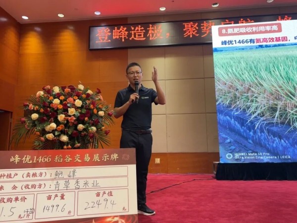 湖南興隆種業(yè)有限公司,長沙稻谷種植與銷售,長沙農(nóng)作物品種的選育,長沙農(nóng)業(yè)病蟲害防治服務(wù)