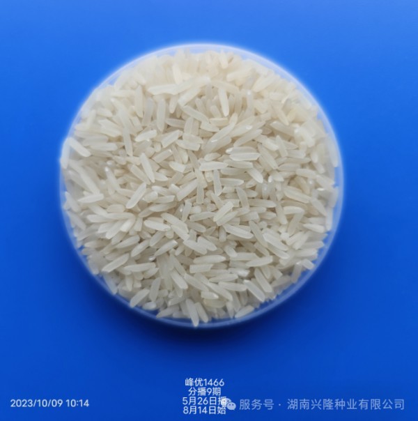 湖南興隆種業(yè)有限公司,長沙稻谷種植與銷售,長沙農(nóng)作物品種的選育,長沙農(nóng)業(yè)病蟲害防治服務(wù)