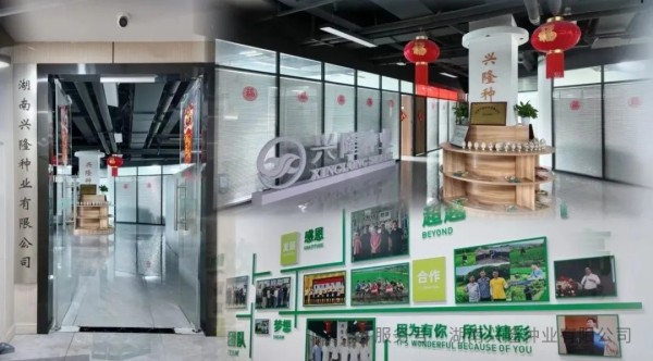 湖南興隆種業(yè)有限公司,長沙稻谷種植與銷售,長沙農(nóng)作物品種的選育,長沙農(nóng)業(yè)病蟲害防治服務