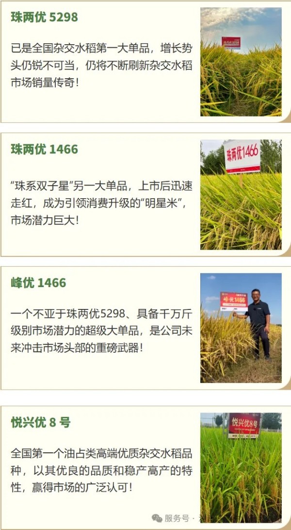 湖南興隆種業(yè)有限公司,長沙稻谷種植與銷售,長沙農(nóng)作物品種的選育,長沙農(nóng)業(yè)病蟲害防治服務