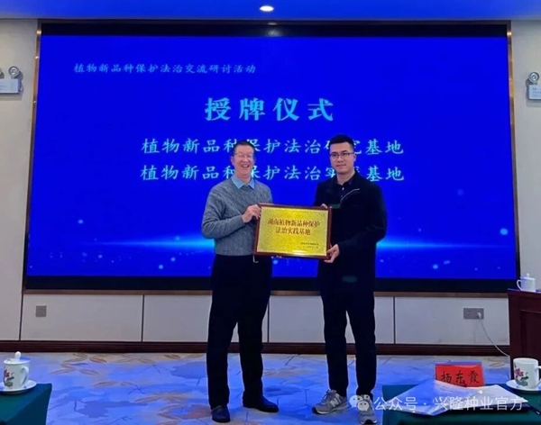 湖南興隆種業(yè)有限公司,長(zhǎng)沙稻谷種植與銷售,長(zhǎng)沙農(nóng)作物品種的選育,長(zhǎng)沙農(nóng)業(yè)病蟲害防治服務(wù)