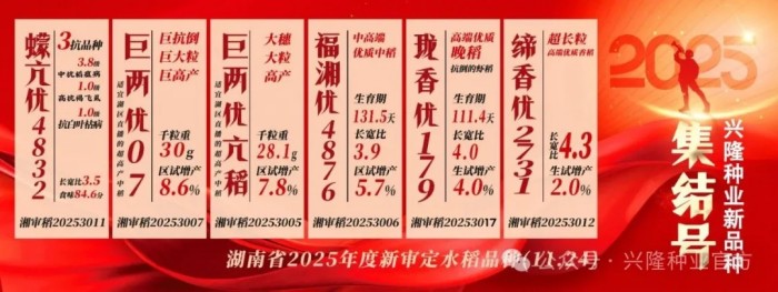 湖南興隆種業(yè)有限公司,長沙稻谷種植與銷售,長沙農(nóng)作物品種的選育,長沙農(nóng)業(yè)病蟲害防治服務(wù)