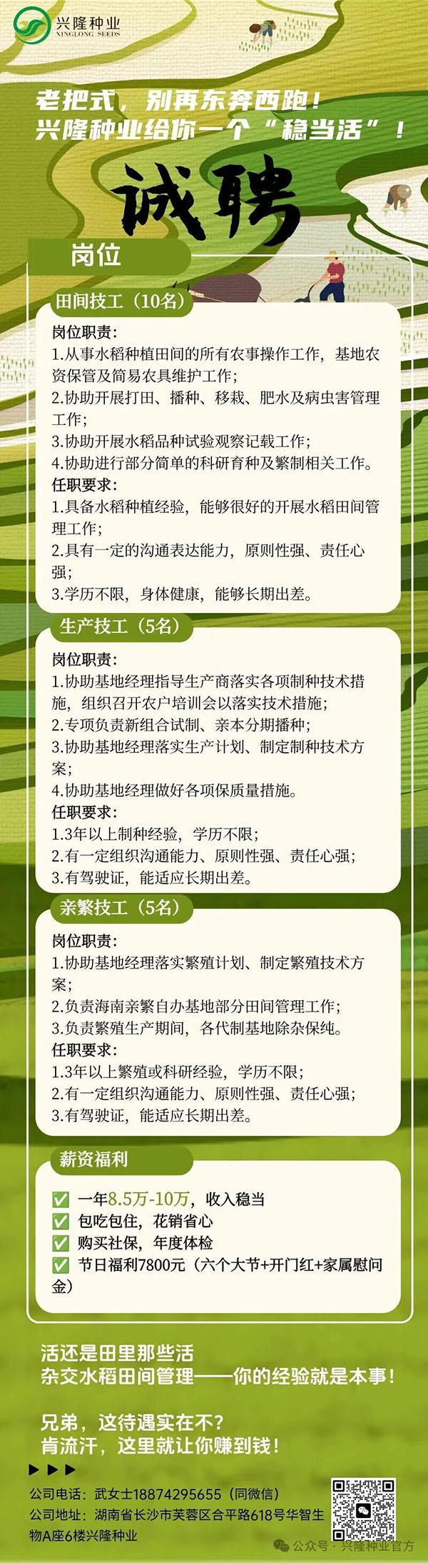 湖南興隆種業(yè)有限公司,長沙稻谷種植與銷售,長沙農(nóng)作物品種的選育,長沙農(nóng)業(yè)病蟲害防治服務(wù)