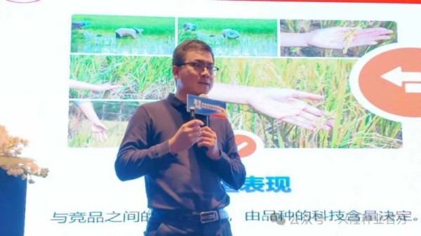 湖南興隆種業(yè)有限公司,長沙稻谷種植與銷售,長沙農(nóng)作物品種的選育,長沙農(nóng)業(yè)病蟲害防治服務(wù)