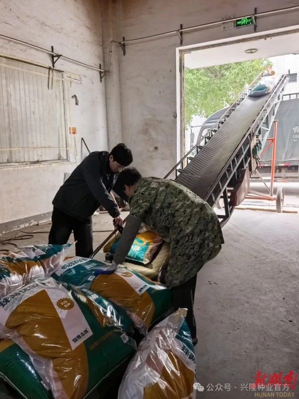 湖南興隆種業(yè)有限公司,長(zhǎng)沙稻谷種植與銷售,長(zhǎng)沙農(nóng)作物品種的選育,長(zhǎng)沙農(nóng)業(yè)病蟲(chóng)害防治服務(wù)